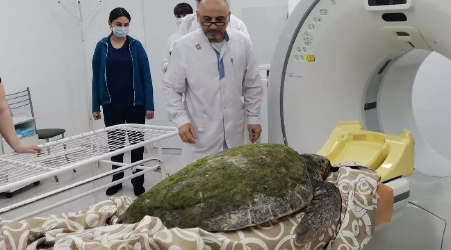  &copy;&nbsp;Скриншот группы &laquo;ВКонтакте&raquo; &laquo;Город-курорт Анапа&raquo;, vk.com/anapaadm