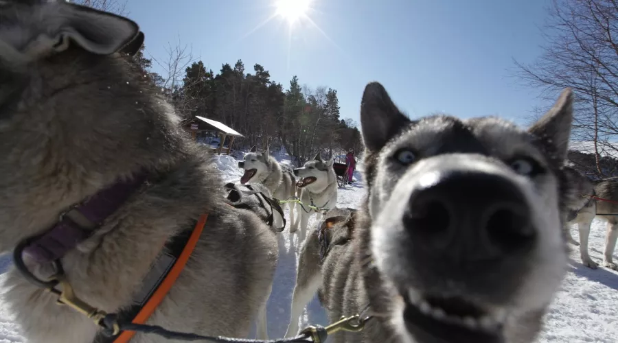  &copy;&nbsp;Фото пресс-службы Кавказского заповедника