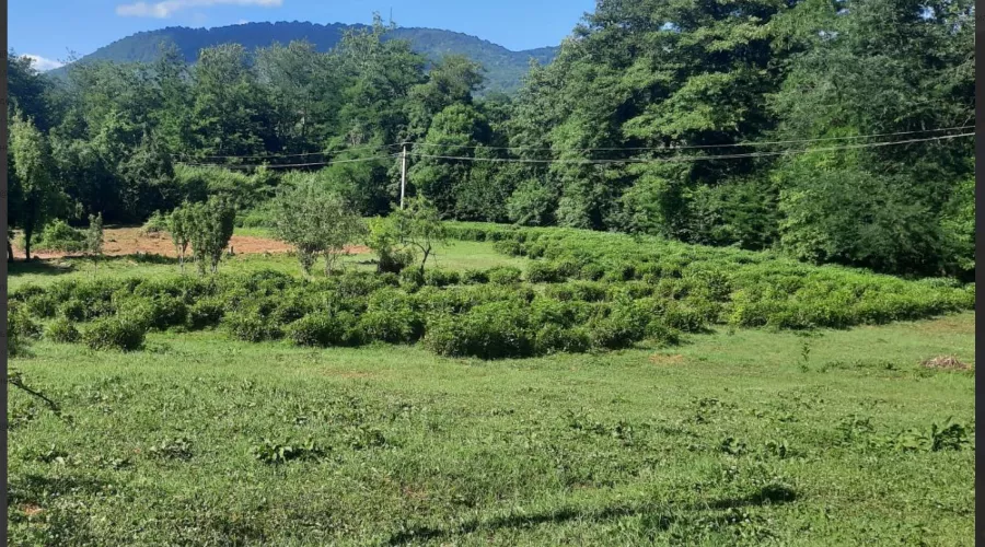  &copy;&nbsp;Скриншот из телеграм-канала главы Туапсинского района Сергея Бойко https://t.me/glavatuapseregion/1569