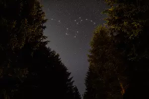  &copy;&nbsp;Фото freepik, сайт freepik.com