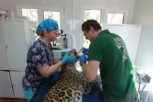  &copy;&nbsp;Фото пресс-службы Сочинского нацпарка