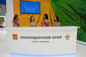 XIV международный инвестиционный форум "Сочи-2015" © Нина Зотина, ЮГА.ру