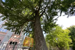  &copy;&nbsp;Фото Дмитрия Пославского, Юга.ру