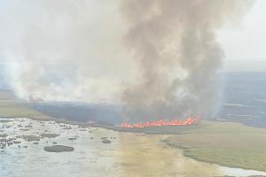  &copy;&nbsp;Фото пресс-службы ГУ МЧС России по Краснодарскому краю