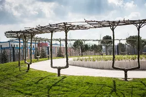 Парк «Краснодар»  &copy;&nbsp;Фото Елены Синеок, Юга.ру