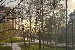  &copy;&nbsp;Скриншот инстаграм*-аккаунта smenila_imya