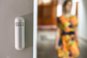 Датчик движения © Фото Елены Синеок, Юга.ру