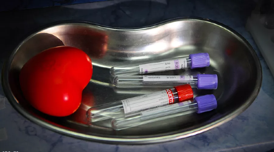  &copy;&nbsp;Фото Елены Синеок, Юга.ру