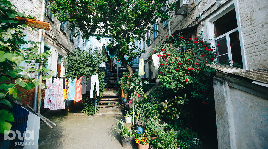   © Фото Дениса Яковлева, Юга.ру