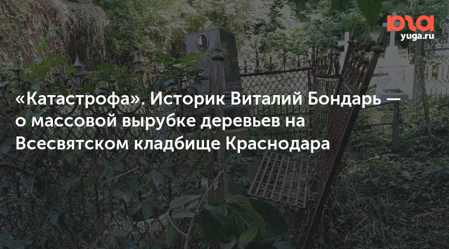 «Катастрофа». Историк Виталий Бондарь — о массовой вырубке деревьев на Всесвятском кладбище Краснодара