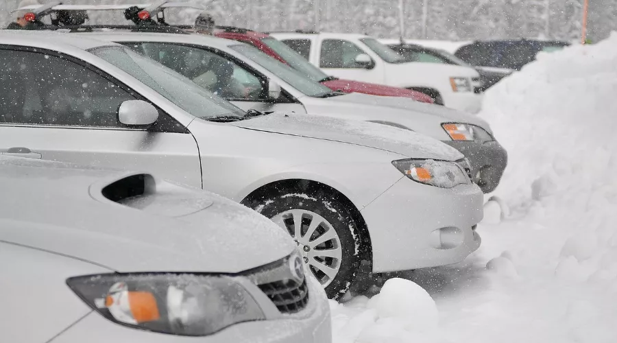  &copy;&nbsp;Фото с сайта pixabay.com