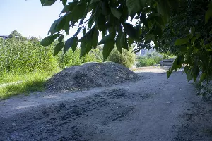 Ремонт парка у стадиона &laquo;Кубань&raquo; &copy;&nbsp;Фото Дмитрия Пославского, Юга.ру