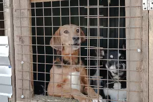  &copy;&nbsp;Фотография предоставлена Наталией Пяткиной