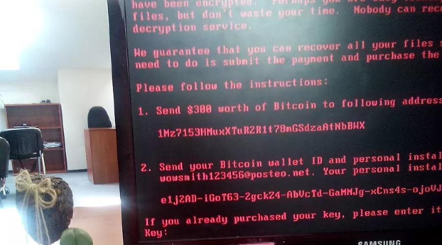 Вирус Petya &copy;&nbsp;Фото из аккаунта в инстаграме instagram.com/yulenka_berdnik