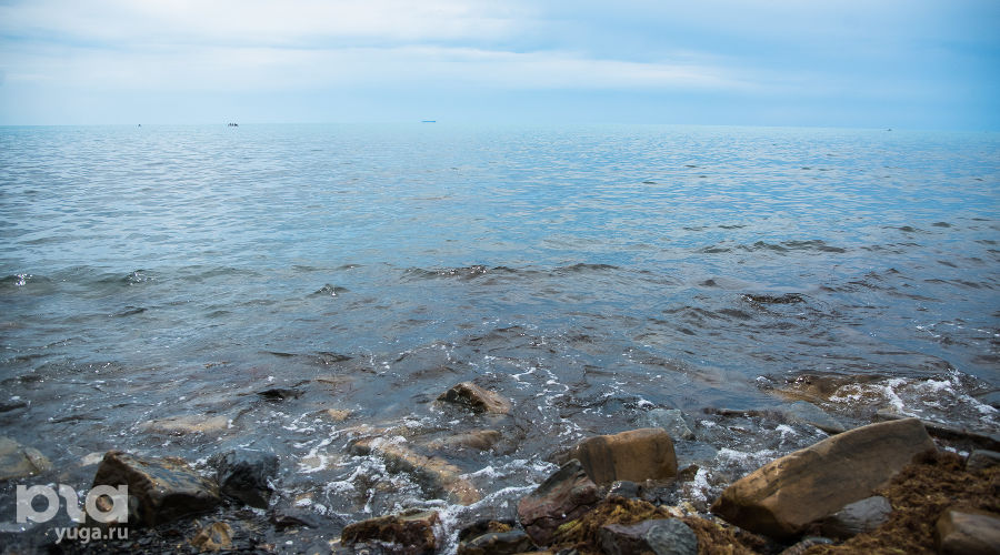 Море © Фото Елены Синеок, Юга.ру