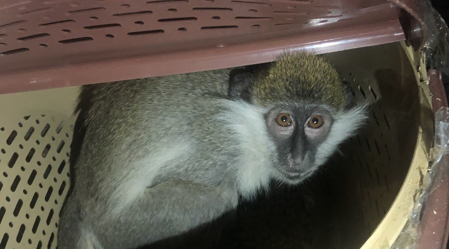  &copy;&nbsp;Фото пресс-службы Ростовской таможни