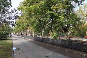  © Фото пресс-службы администрации Краснодара