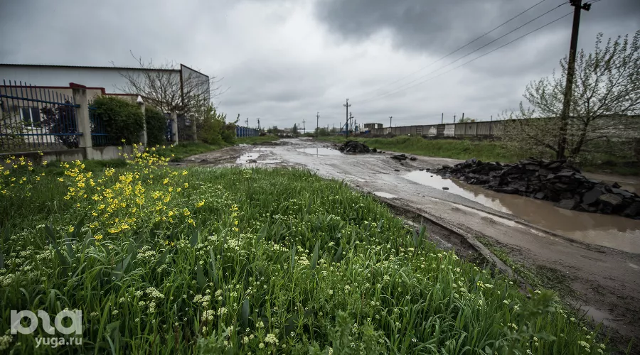  &copy;&nbsp;Фото Елены Синеок, Юга.ру