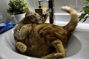  &copy;&nbsp;Фото Александры Булавкиной, Юга.ру