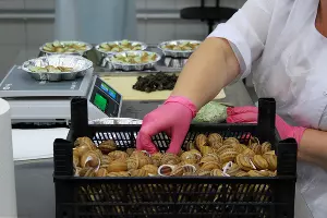  &copy;&nbsp;Фото Марины Солошко, Юга.ру