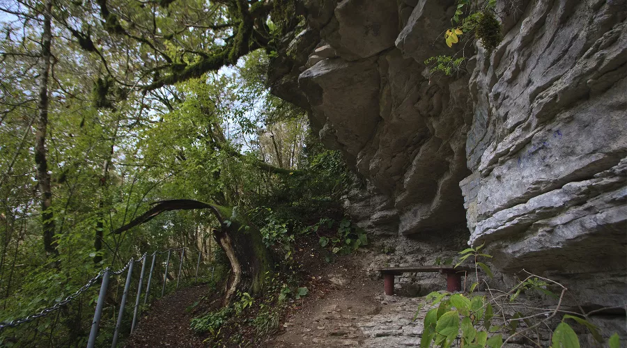  &copy;&nbsp;Фото с сайта wikimedia.org