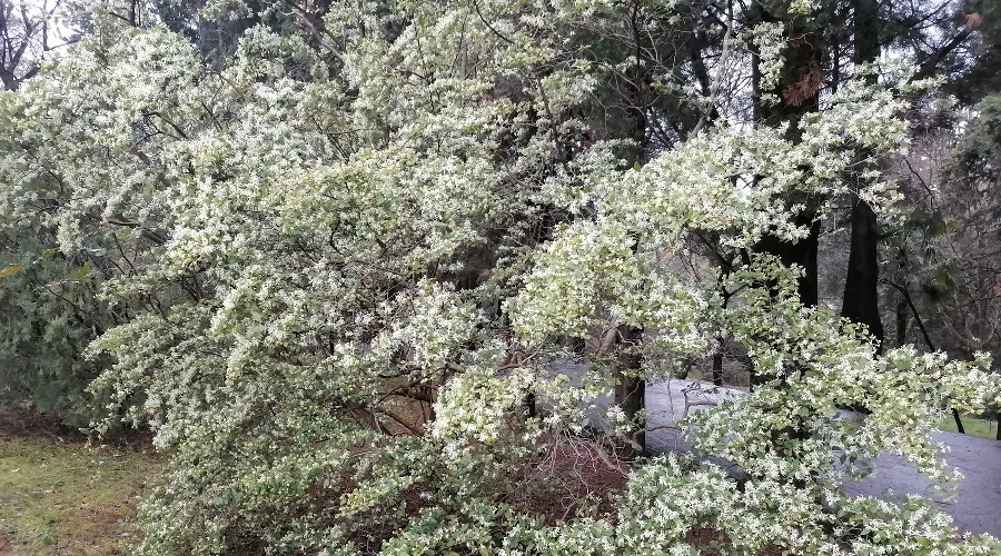  &copy;&nbsp;Фото пресс-службы Сочинского нацпарка