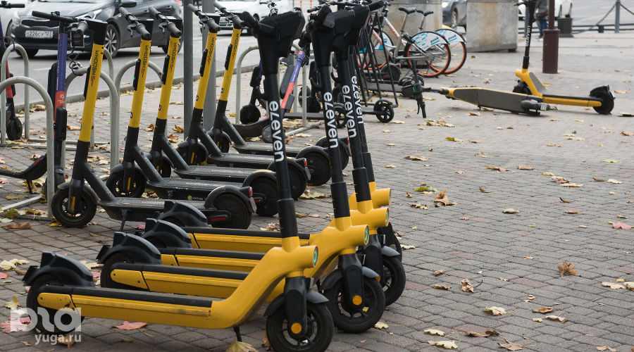  © Фото Елены Синеок, Юга.ру