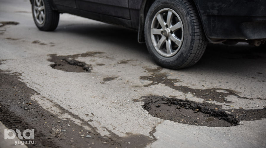  © Фото Елены Синеок, Юга.ру