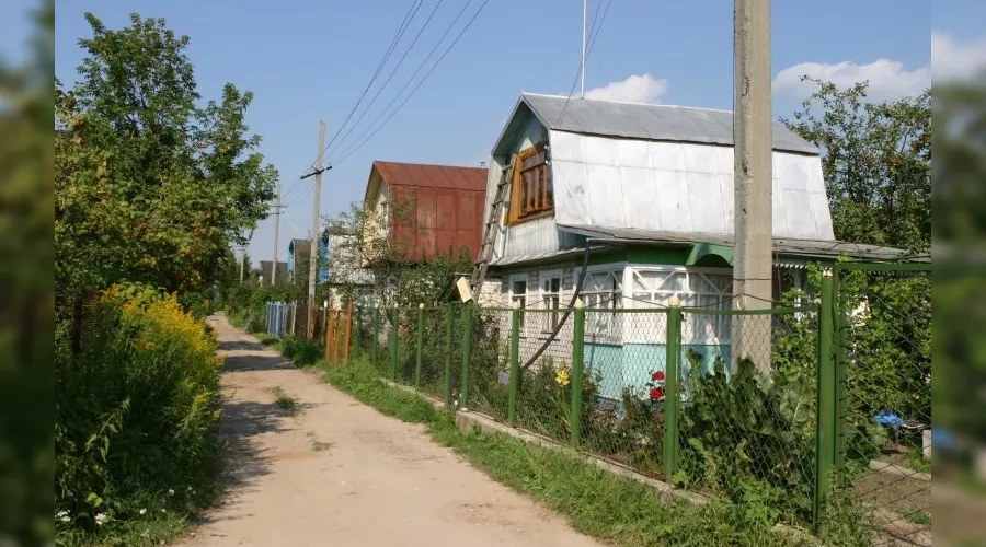   &copy;&nbsp;Фото пресс-службы администрации Краснодара