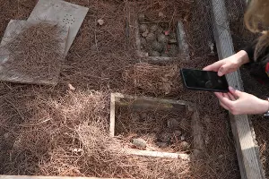  &copy;&nbsp;Скриншот фото из телеграм-канала &laquo;Кавказский заповедник&raquo;