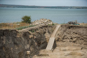 Раскопки в Фанагории © Фото Елены Синеок, Юга.ру