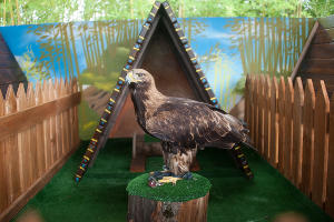 Обитатели совариума в «Сочи Парке» © Фото пресс-службы «Сочи Парка»