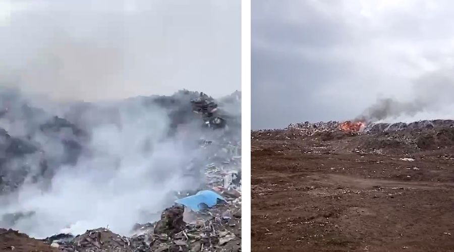  &copy;&nbsp;Коллаж из скриншотов фото из телеграм-канала &laquo;Администрация Усть-Лабинского района&raquo;