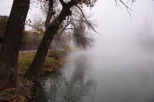 Туман в парке «Солнечный остров» © Фото Елены Синеок, Юга.ру