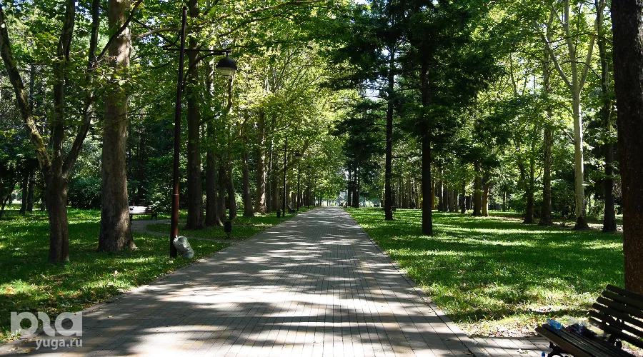  &copy;&nbsp;Фото Елены Синеок, Юга.ру