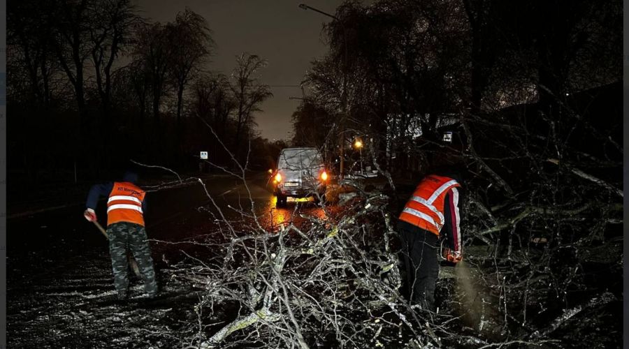  © Скриншот из телеграм-канала мэрии Ростова-на-Дону https://t.me/Rostov_Gorod_Admin/6121