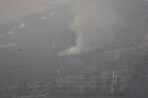  &copy;&nbsp;Скриншот фото из телеграм-канала &laquo;ГБУ КК &laquo;Краевой лесопожарный центр&raquo;