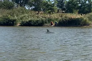  &copy;&nbsp;скриншот фото из телеграм-канала &laquo;Экология — дело каждого!&raquo;