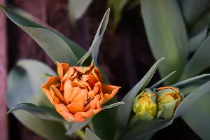  &copy;&nbsp;Фото Елены Синеок, Юга.ру