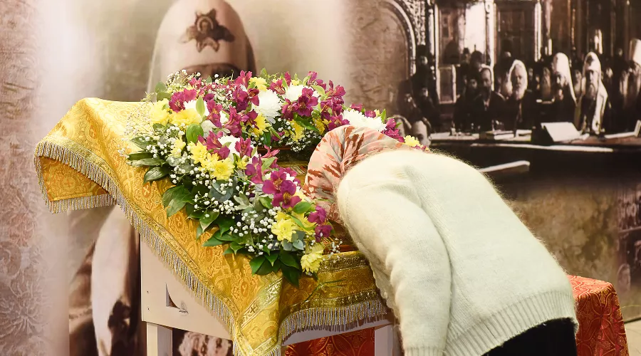  &copy;&nbsp;Фото Елены Синеок