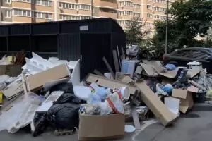  &copy;&nbsp;Кадр из видео t.me/abrikosovo_krasnodar