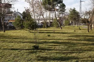 Бульвар Дальний &copy;&nbsp;Фото пресс-службы администрации Краснодара