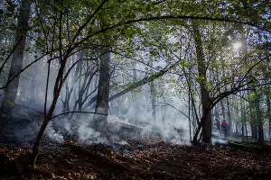  &copy;&nbsp;Фото Алисы Пелешенко со страницы vk.com/dobrofire