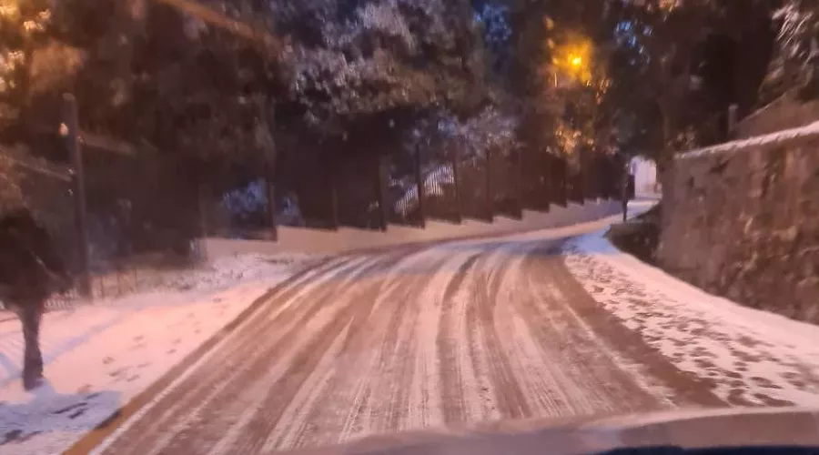  &copy;&nbsp;Фото из телеграм-канала &laquo;Типичный Сочи&raquo;, t.me/sochitypical