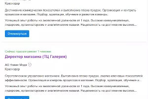  &copy;&nbsp;Скриншот hh.ru