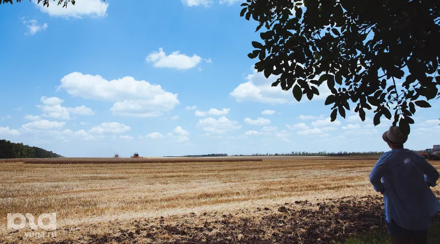  &copy;&nbsp;Фото Амины Ибрагимовой, Юга.ру