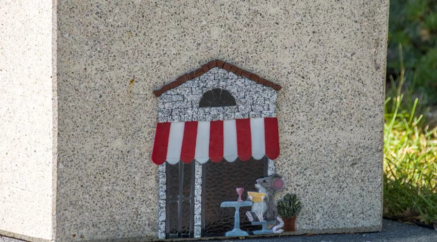  &copy;&nbsp;Фото: новороссийский фотограф Sega_Black_Sea