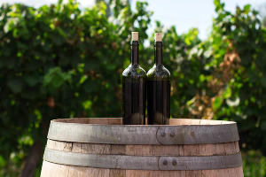 Вино © Фото Rodrigo Abreu, unsplash.com