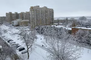 Снег в Краснодаре &copy;&nbsp;Фото Валерии Дульской, Юга.ру