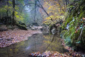 Водопады Руфабго в Адыгее &copy;&nbsp;Елена Синеок, ЮГА.ру